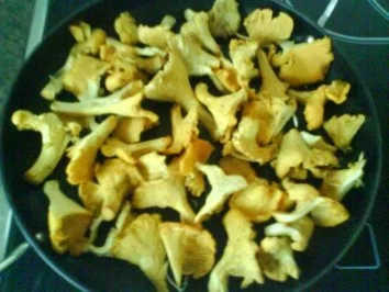 Pfifferlingsomlette - Rezept - Bild Nr. 2