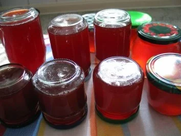 Johannisbeergelee mit gemahlenem Ingwer - Rezept