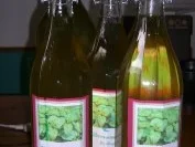 Zitronenmelissensaft - Rezept