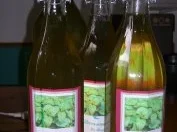 Zitronenmelissensaft - Rezept