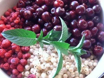 Rezept: Vierfruchtmarmelade Bild Nr. 2 Vierfruchtmarmelade - Rezept - Bild Nr. 2