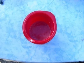 Erfrischungsgetränk - Rezept - Bild Nr. 3