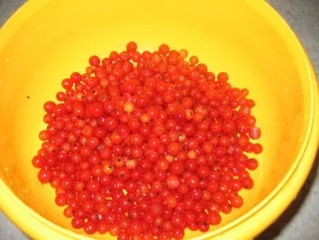 Johannis-Stachelbeer-Marmelade - Rezept - Bild Nr. 2