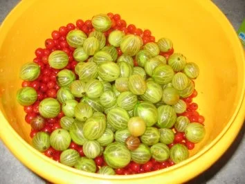 Johannis-Stachelbeer-Marmelade - Rezept - Bild Nr. 3