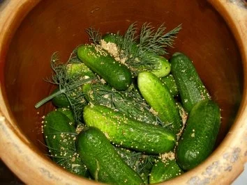 Schnellgurken im Steintopf - Rezept - Bild Nr. 6