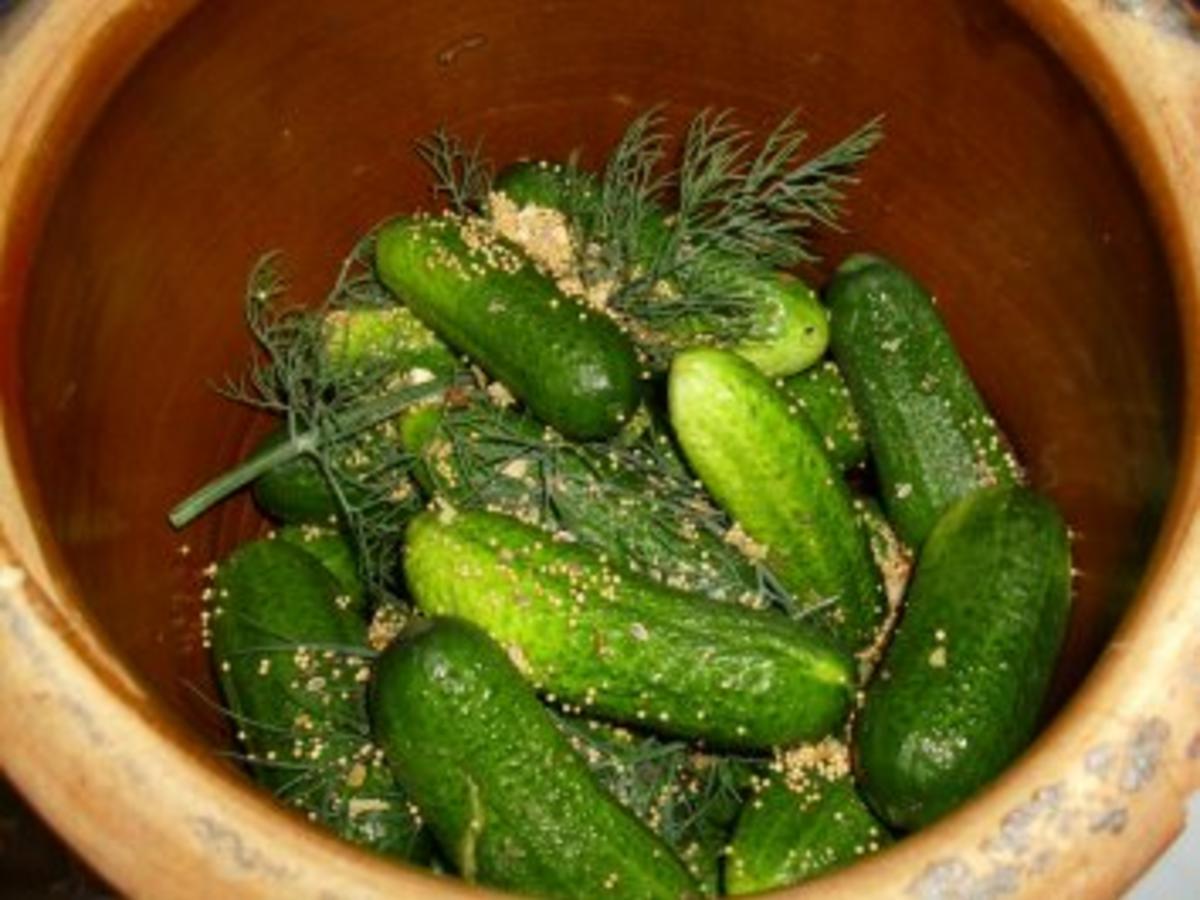 Schnellgurken im Steintopf Rezept mit Bild kochbar.de