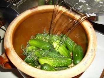 Schnellgurken im Steintopf - Rezept - Bild Nr. 7