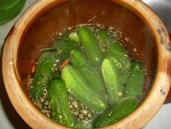Schnellgurken im Steintopf - Rezept