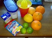 Citrusdessert - Rezept