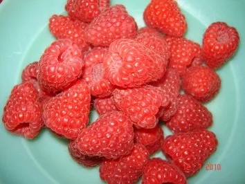 Kuchen + Torten : Frische Beeren-Dickmilch-Torte - Rezept - Bild Nr. 2