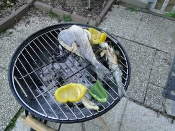 Rezept: Dorsch und grüne Heringe auf Grill (Fotos) Bild Nr. 11 Dorsch und grüne Heringe auf Grill (Fotos) - Rezept - Bild Nr. 11