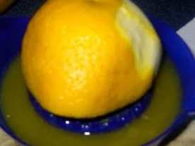 Gefüllter Büffelmozzarella, im Speckmantel gebraten, auf lauwarmen Tomatenbett - Rezept - Bild Nr. 7