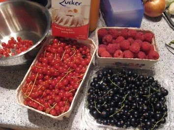 Walbeereneisexperiment - Rezept - Bild Nr. 2