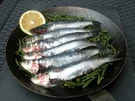 Sardinen aus der Pfanne serviert - Rezept