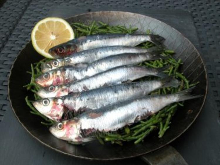 Sardinen aus der Pfanne serviert - Rezept - kochbar.de