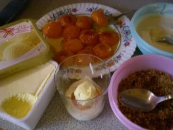 Rezept: Eis - Marillen - "Knödel" im Glas Bild Nr. 7 Eis - Marillen - "Knödel" im Glas - Rezept - Bild Nr. 7