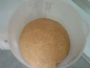 Rezept: Vollkorn-Dinkel-Pizza Bild Nr. 4 Vollkorn-Dinkel-Pizza - Rezept - Bild Nr. 4