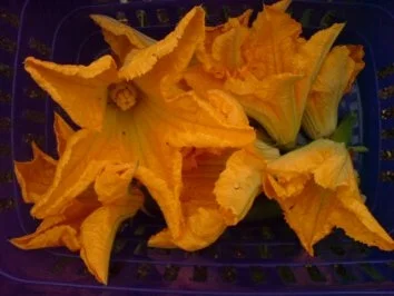 Gefülltes Gemüse-Allerlei - Rezept - Bild Nr. 4