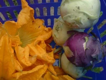 Gefülltes Gemüse-Allerlei - Rezept - Bild Nr. 6