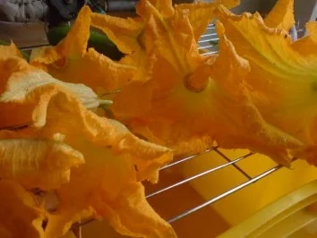 Gefülltes Gemüse-Allerlei - Rezept - Bild Nr. 7