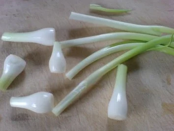 Gefülltes Gemüse-Allerlei - Rezept - Bild Nr. 11