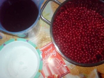 Johannisbeer-Kaltschale - Rezept - Bild Nr. 5