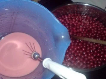 Johannisbeer-Kaltschale - Rezept - Bild Nr. 9