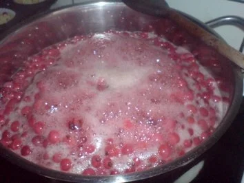 Johannisbeer-Kaltschale - Rezept - Bild Nr. 10