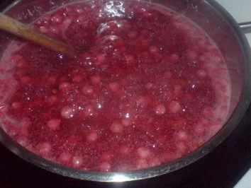 Johannisbeer-Kaltschale - Rezept - Bild Nr. 11