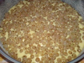 Johannisbeerkuchen - Rezept - Bild Nr. 23