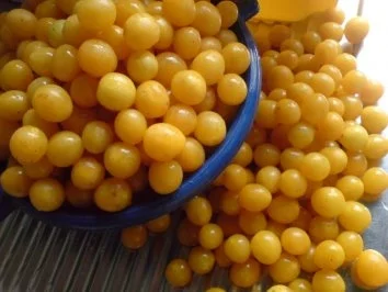 Rezept: Johannisbeer-Törtchen Bild Nr. 13 Johannisbeer-Törtchen - Rezept - Bild Nr. 13