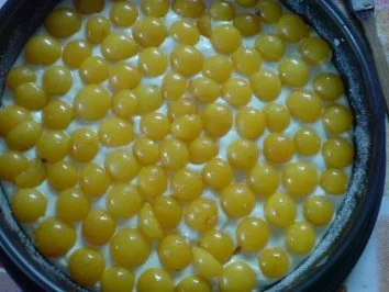 Rezept: Johannisbeer-Törtchen Bild Nr. 17 Johannisbeer-Törtchen - Rezept - Bild Nr. 17