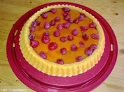 Rezept: Aprikosen-Himbeer-Kuchen Aprikosen-Himbeer-Kuchen - Rezept