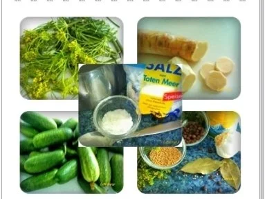 Eingemachtes:  Salzgurken, im Einmachglas - Rezept - Bild Nr. 6