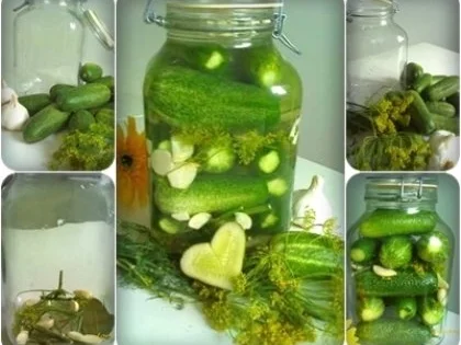 Eingemachtes:  Salzgurken, im Einmachglas - Rezept - Bild Nr. 11