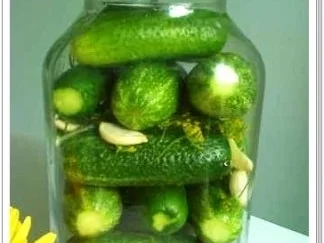 Eingemachtes:  Salzgurken, im Einmachglas - Rezept - Bild Nr. 16