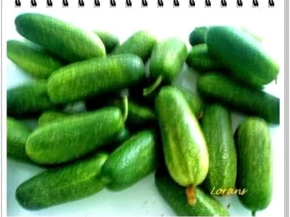 Eingemachtes:  Salzgurken, im Einmachglas - Rezept - Bild Nr. 3