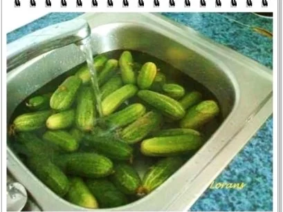 Eingemachtes:  Salzgurken, im Einmachglas - Rezept - Bild Nr. 4