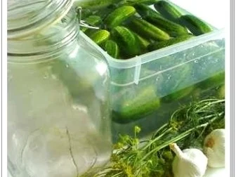 Eingemachtes:  Salzgurken, im Einmachglas - Rezept - Bild Nr. 5