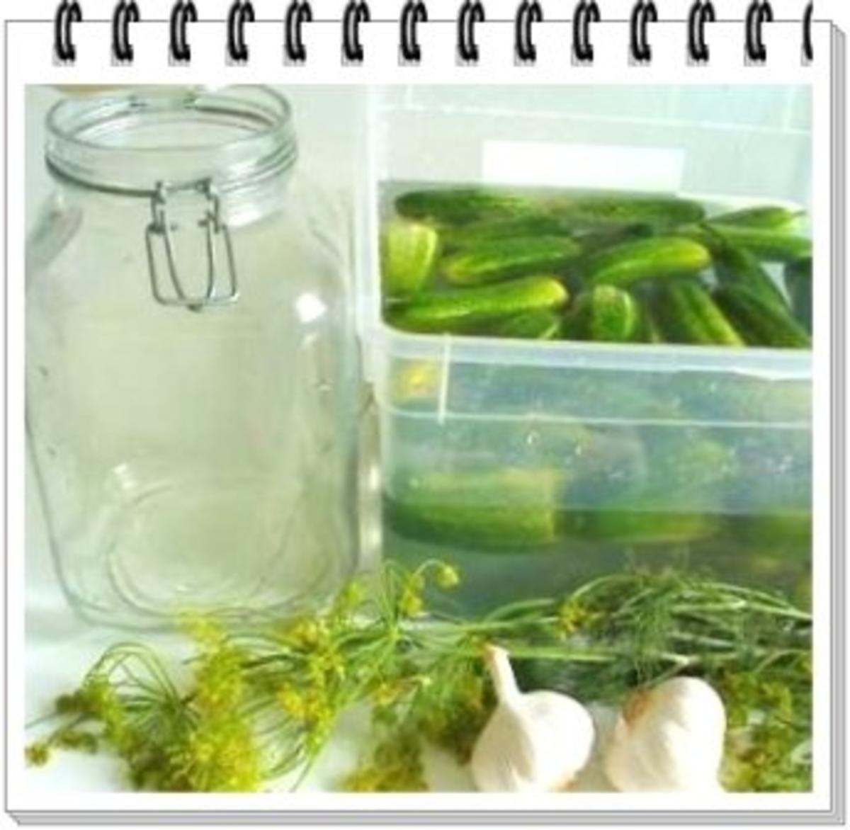 Eingemachtes:  Salzgurken, im Einmachglas - Rezept - Bild Nr. 12