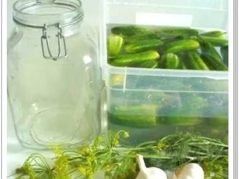 Eingemachtes:  Salzgurken, im Einmachglas - Rezept - Bild Nr. 12