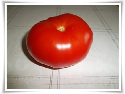 Tomaten-Gurken-Salat - Rezept - Bild Nr. 4