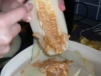 Obstplatte a la Jastin - Rezept - Bild Nr. 5