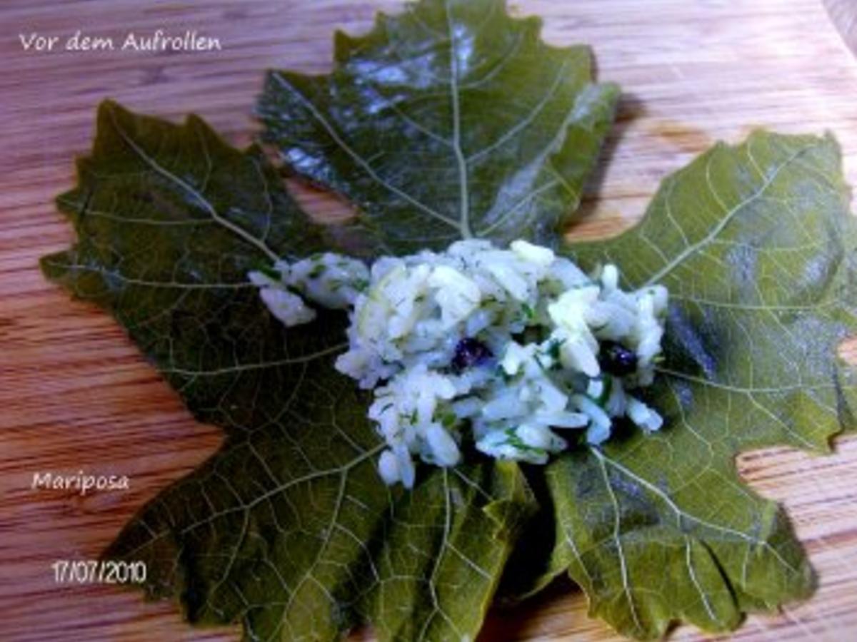 Weinblätter gefüllt - Rezept mit Bild - kochbar.de