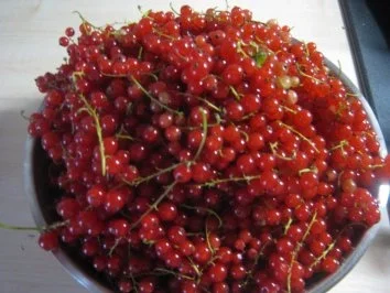 Johannisbeer-Trauben-Gelee - Rezept - Bild Nr. 2