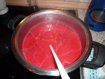 Marmelade: Himbeergelee mit Schlehenfeuer - Rezept - Bild Nr. 7