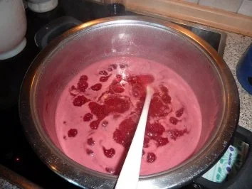 Marmelade: Himbeergelee mit Schlehenfeuer - Rezept - Bild Nr. 8