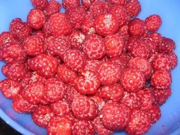 M+G:  HIMBEER - MARMELADE..... ohne Frucht-Körnchen - Rezept - Bild Nr. 2