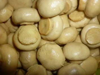 Rezept: Schnelle Lammhack-Champignon-Pizza Bild Nr. 7 Schnelle Lammhack-Champignon-Pizza - Rezept - Bild Nr. 7