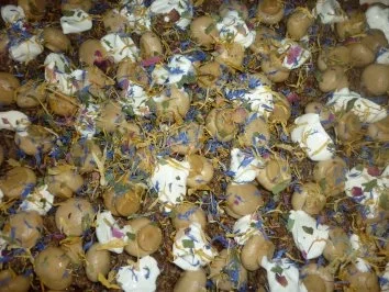 Rezept: Schnelle Lammhack-Champignon-Pizza Bild Nr. 4 Schnelle Lammhack-Champignon-Pizza - Rezept - Bild Nr. 4